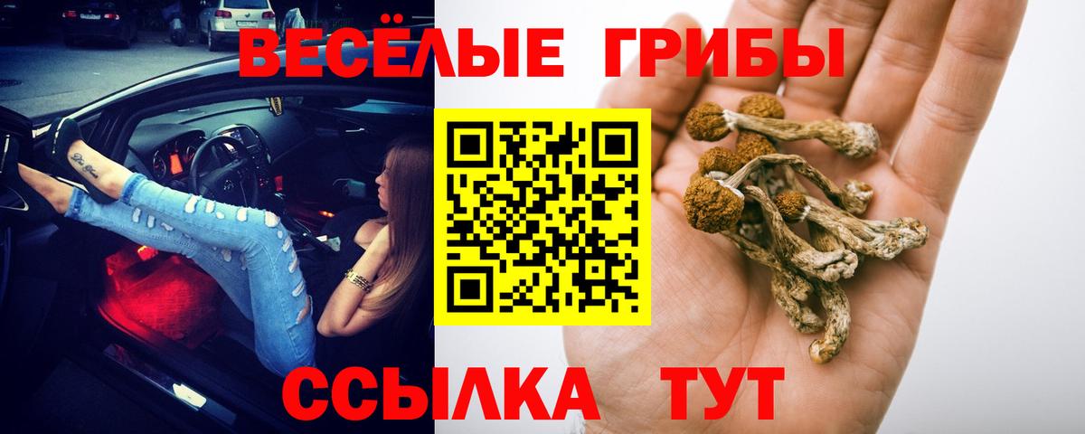 Россия  Псилоцибиновые грибы мухоморы  Вход с VPN 